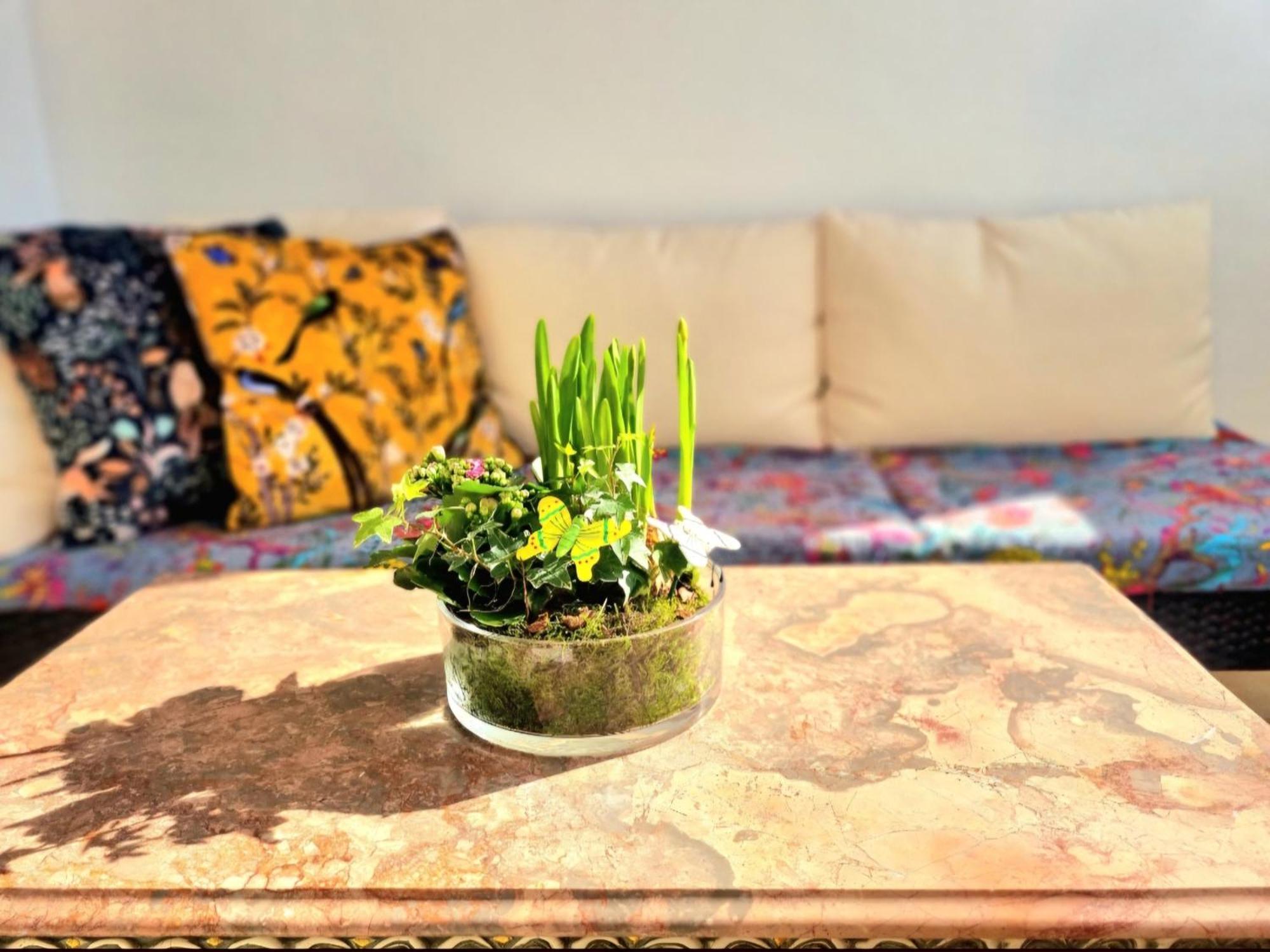 Stunning With Private Bathroom And Shared Balcony, Mainly With 3 Adorable Cats! * Lagos